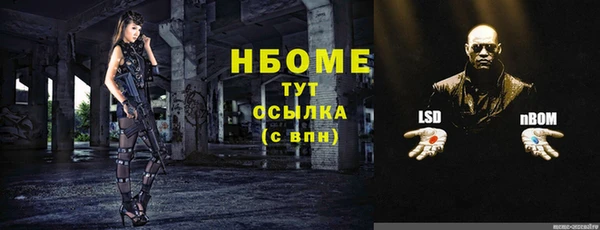 прущие грибы Алзамай