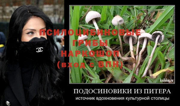 сатива Абдулино