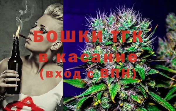 прущие грибы Алзамай
