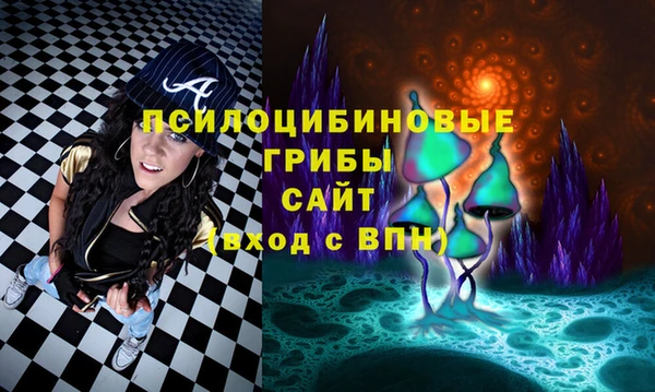 прущие грибы Алзамай